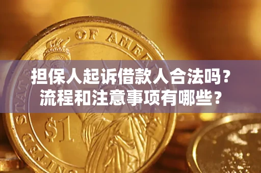 武汉担保人起诉借款人合法吗？流程和注意事项有哪些？