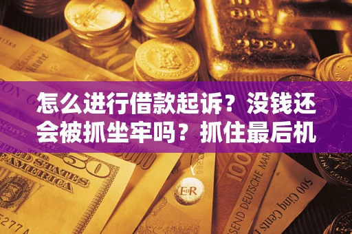 武汉怎么进行借款起诉？没钱还会被抓坐牢吗？抓住最后机会！