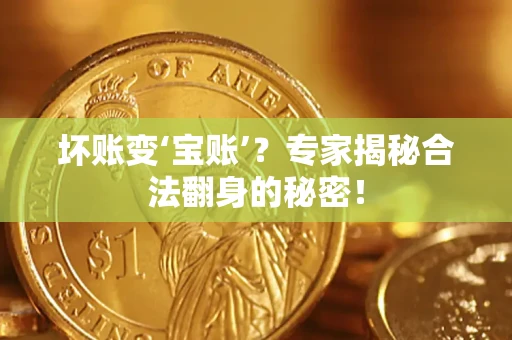 武汉坏账变‘宝账’？专家揭秘合法翻身的秘密！