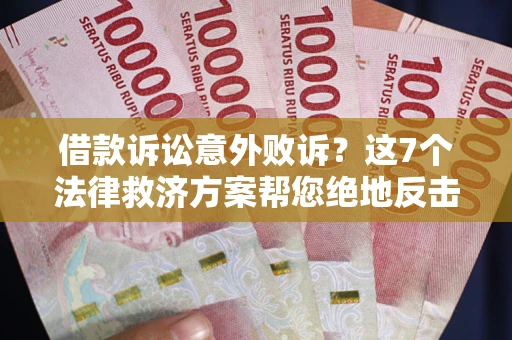 武汉借款诉讼意外败诉？这7个法律救济方案帮您绝地反击！