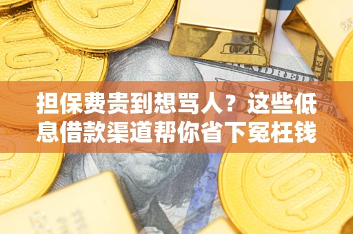 武汉担保费贵到想骂人？这些低息借款渠道帮你省下冤枉钱
