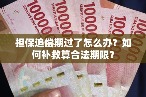 武汉担保追偿期过了怎么办？如何补救算合法期限？