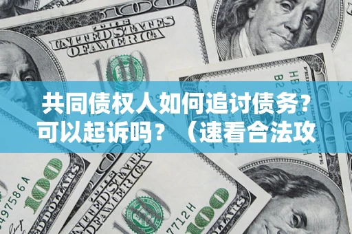 武汉共同债权人如何追讨债务？可以起诉吗？（速看合法攻略）