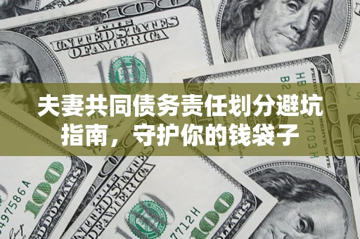 武汉夫妻共同债务责任划分避坑指南，守护你的钱袋子