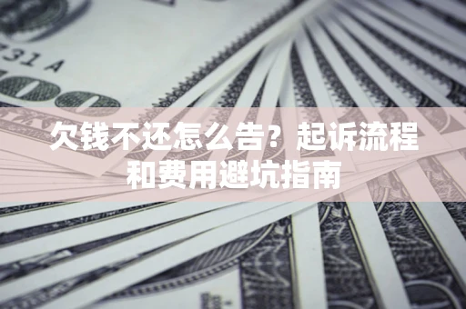 武汉欠钱不还怎么告？起诉流程和费用避坑指南