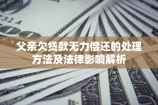 武汉父亲欠贷款无力偿还的处理方法及法律影响解析