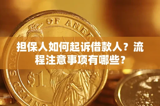武汉担保人如何起诉借款人？流程注意事项有哪些？